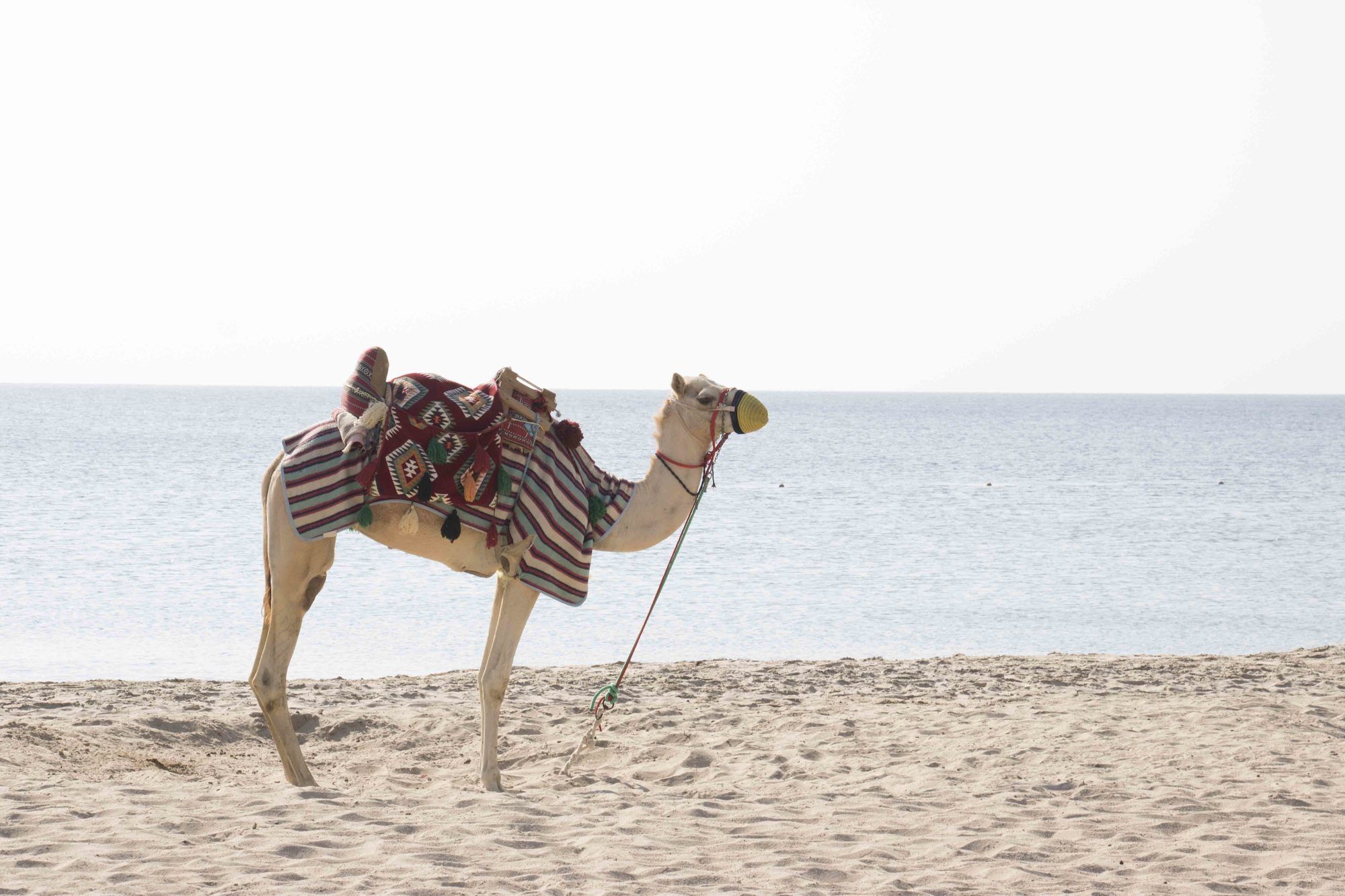 Sealine Beach, A Murwab Station touristique Mesaieed